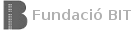 Fundacio Bit